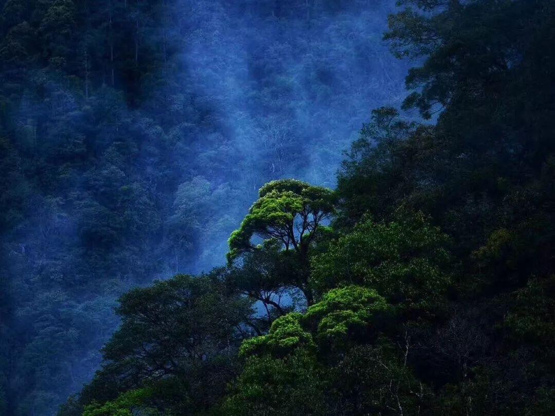 探索未知,畅谈智慧——大学打工是在学校勤工俭学好还是在外面兼职好?蜗牛问答平台